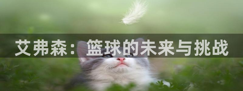 威九国际app入口：艾弗森：篮球的未来与挑战
