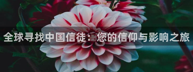 壹号下载官网入口：全球寻找中国信徒：您的信仰与影响之旅
