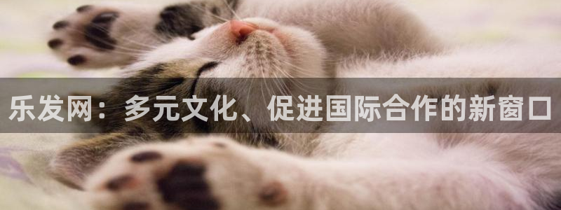 壹号电子娱乐app：乐发网：多元文化、促进国际合作的新窗口