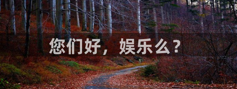 威九国际app下载官网：您们好，娱乐么？