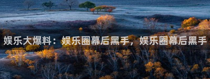 壹号官方app下载安装：娱乐大爆料：娱乐圈幕后黑手，娱乐圈幕后黑手