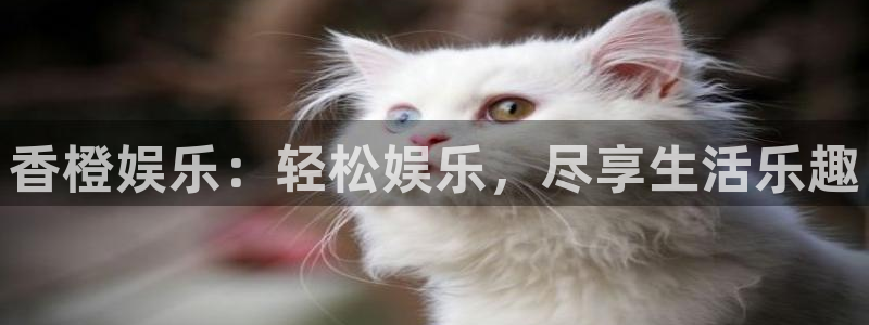 威九国际下载：香橙娱乐：轻松娱乐，尽享生活乐趣