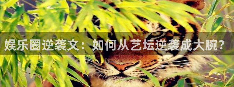 壹号国际app免费下载安装：娱乐圈逆袭文：如何从艺坛逆袭成大腕？