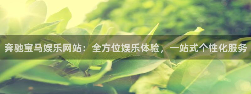壹号大舞台娱乐传媒：奔驰宝马娱乐网站：全方位娱乐体验，一站式个性化服务
