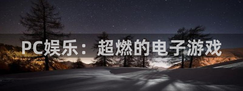 威九国际app网页入口：PC娱乐：超燃的电子游戏