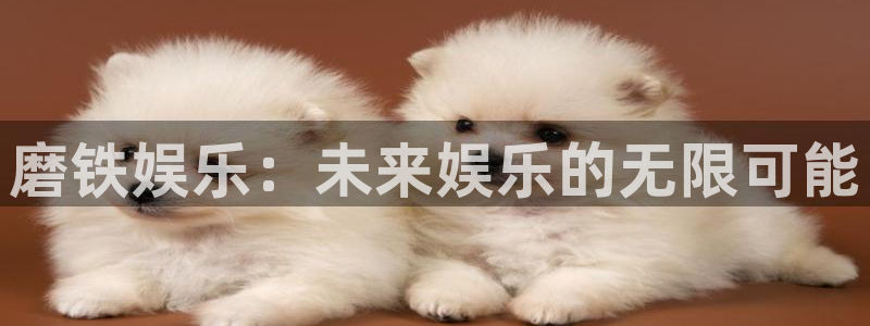壹号电子娱乐app下载安装：磨铁娱乐：未来娱乐的无限可能