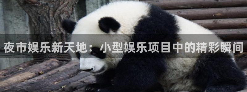 威九国际app官网：夜市娱乐新天地：小型娱乐项目中的精彩瞬间