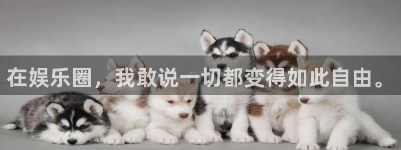 威九国际app下载安装：在娱乐圈，我敢说一切都变得如此自由。
