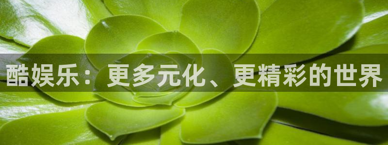威九国际退款怎么退