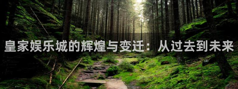 威九国际官网入口