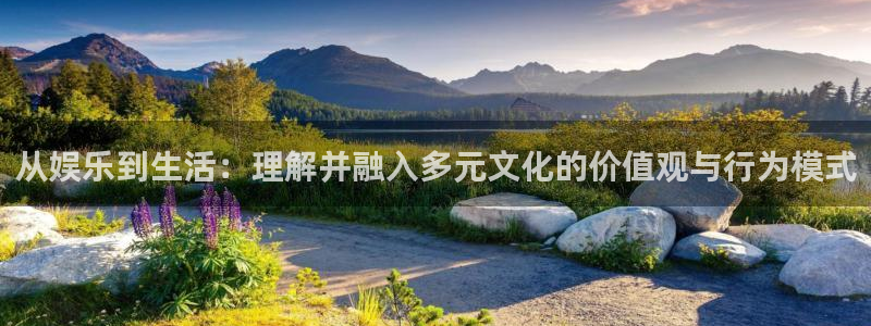 威九国际强制退款流程详解