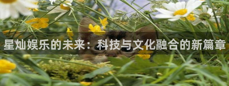 壹号国际app免费下载安装
