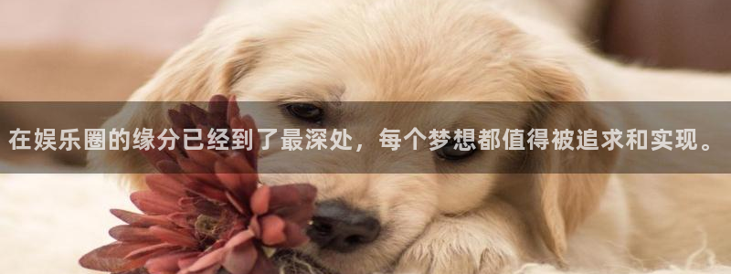 威九国际app