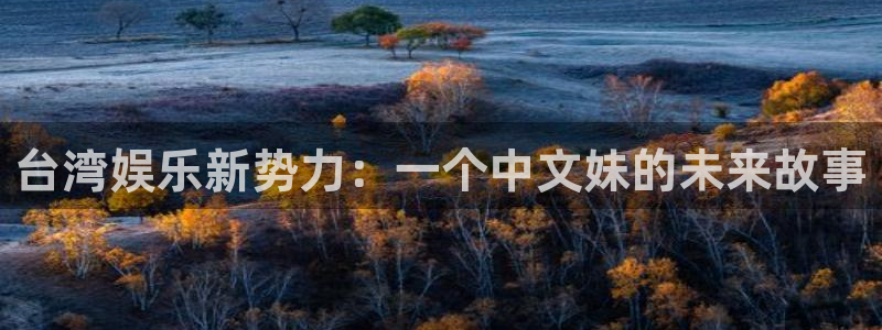 威九国际app