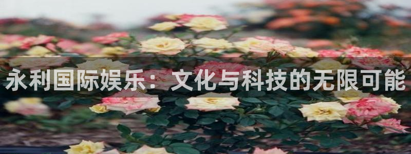 威九国际能退款吗