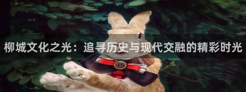 威九国际app下载官网