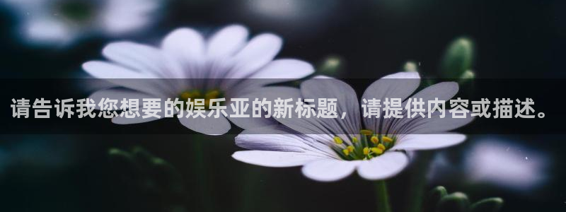 壹号电子娱乐app下载最新版本安装