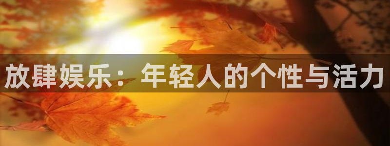威九国际,apk