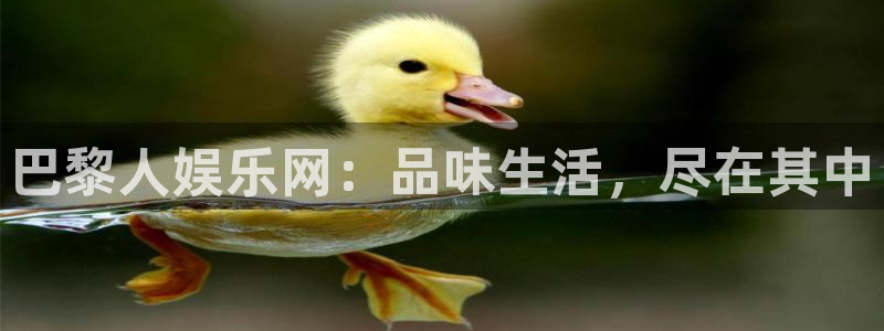 壹号下载官网入口