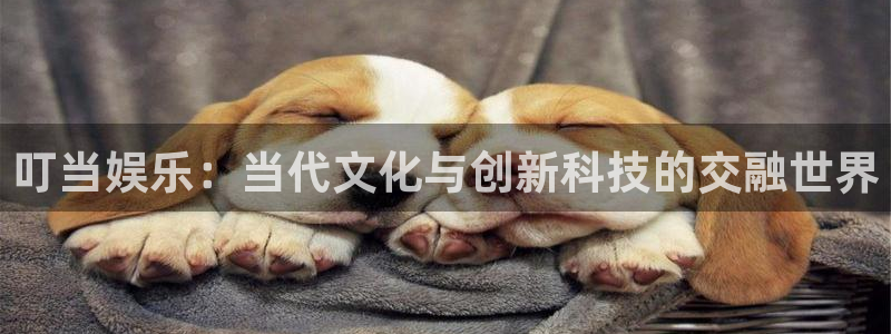 壹号电子娱乐app下载安装最新版本