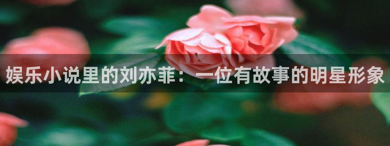 壹号大舞台官网